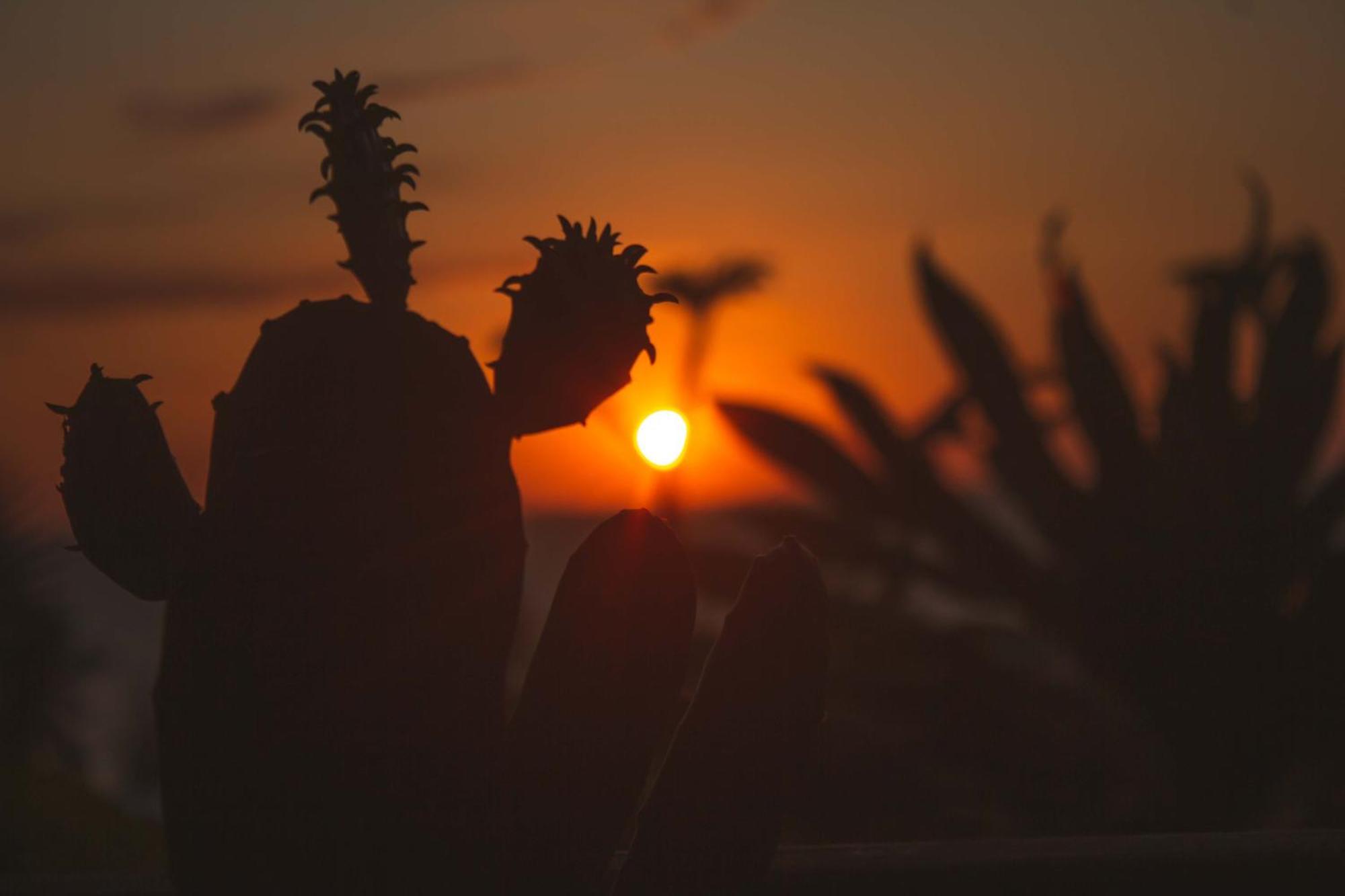 Coucher De Soleil Ambatoloaka  Dış mekan fotoğraf